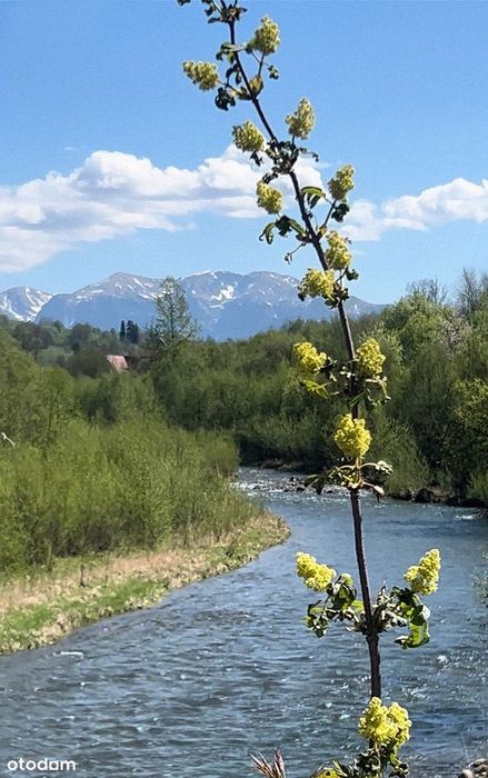 Chochołów z widokiem na Tatry i rzekę przy ścieżce rowerowej