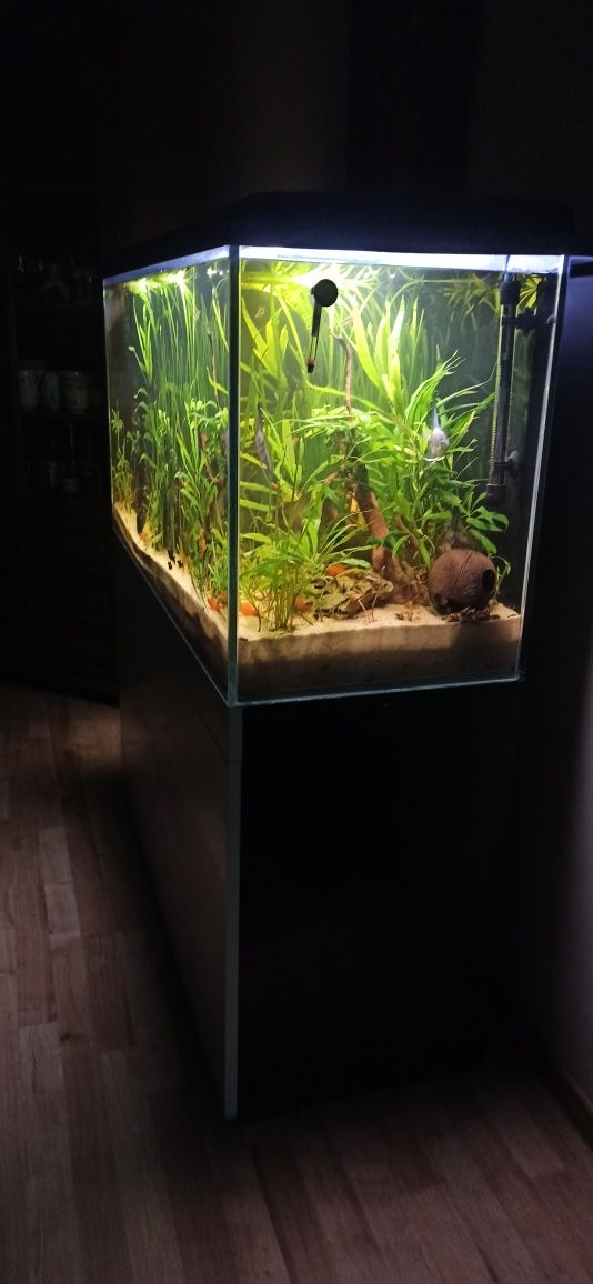 Akwarium 300 litrów plus szafka