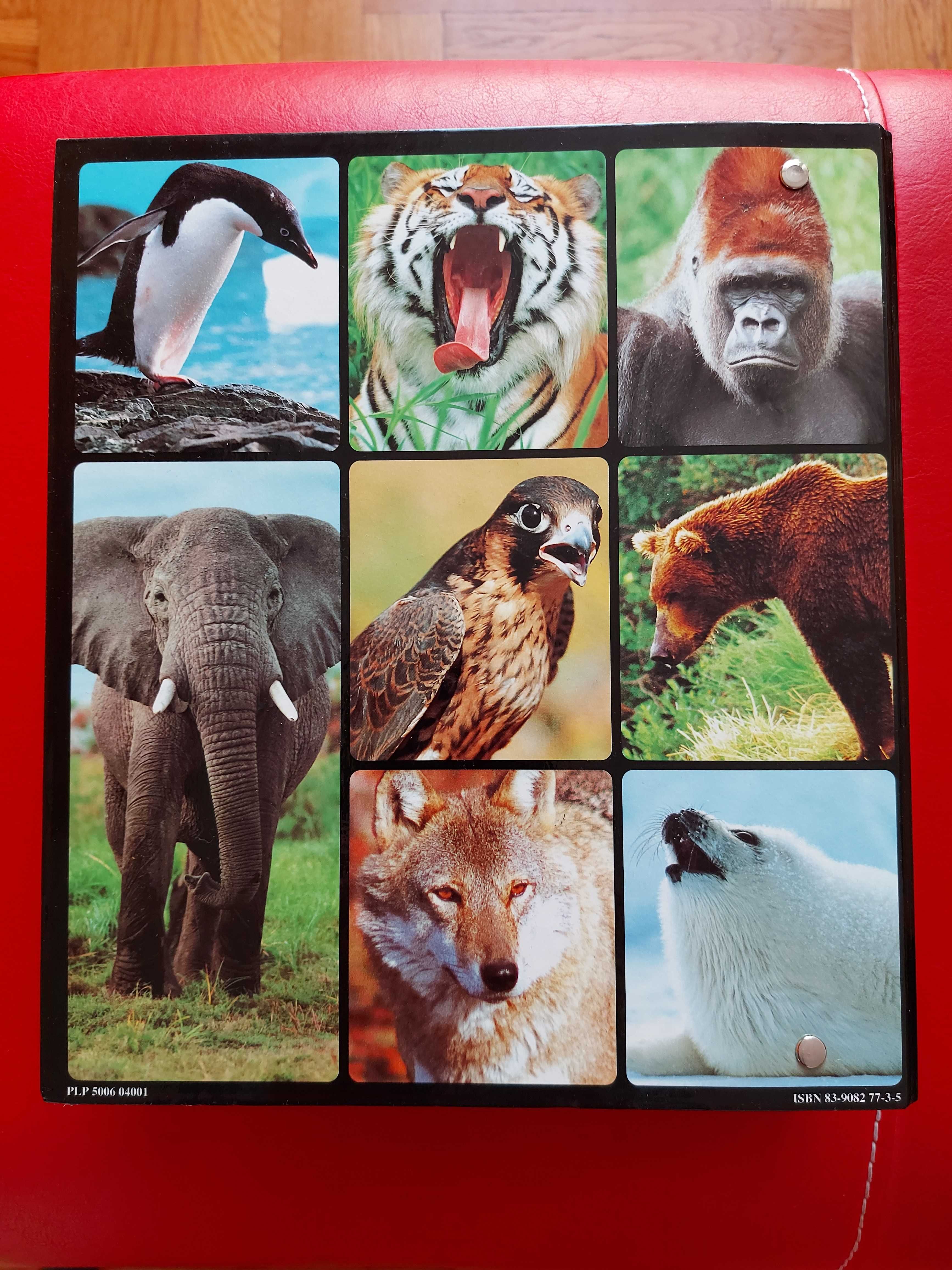 Dla kolekcjonerów - Encyklopedia zwierząt od A do Z - 4 segregatory