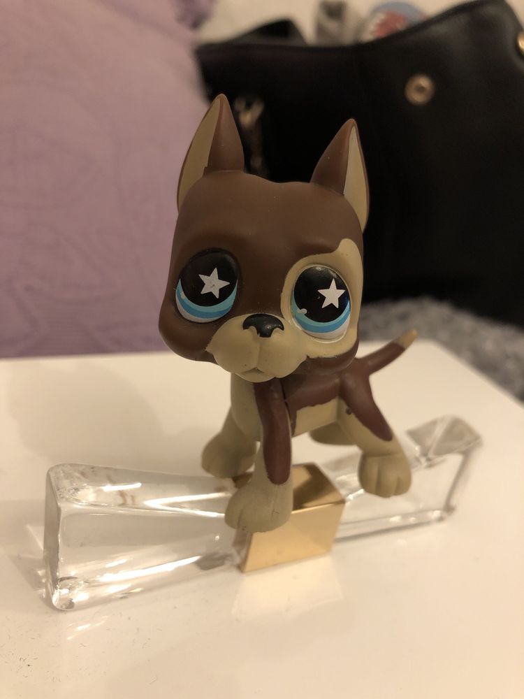 Littlest Pet Shop Figurka Pies Dog Niemiecki #817 LPS POP Collie Kotek