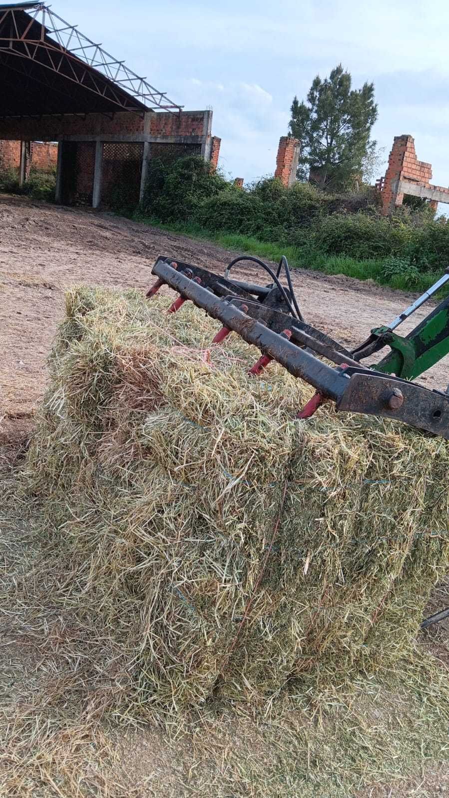 Fardos pequenos azevem ! COR MUITO VERDE