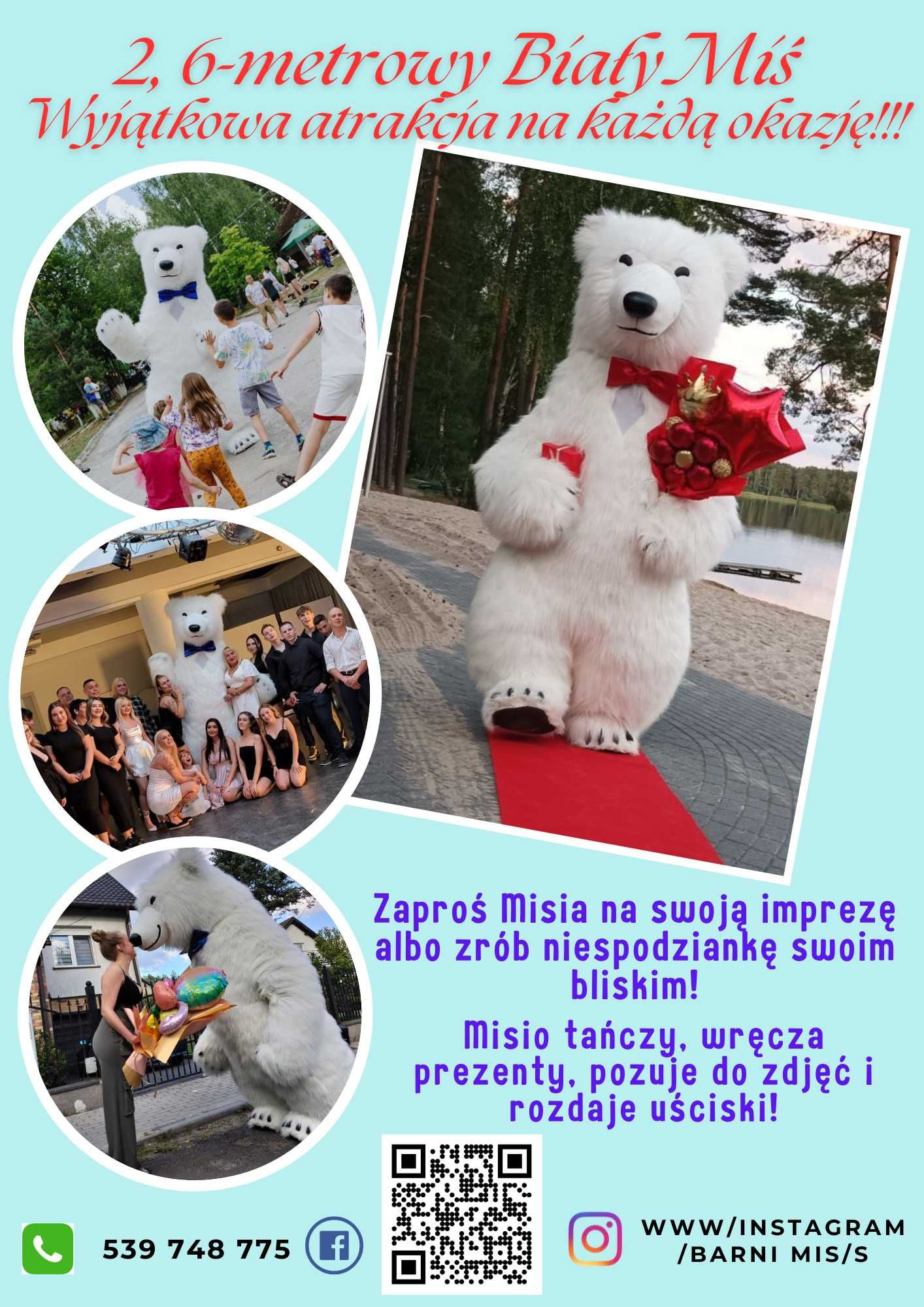 Biały Miś Barni żywa maskotka na imprezę