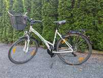 Pegasus Piazza Lite 28"