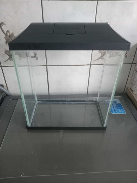 akwarium dla rybek