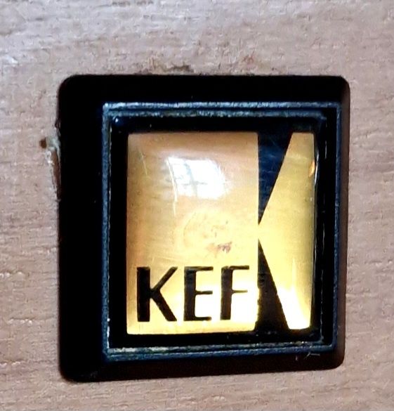 Subwoofer Activo KEF PSW1000 (RESERVADO)