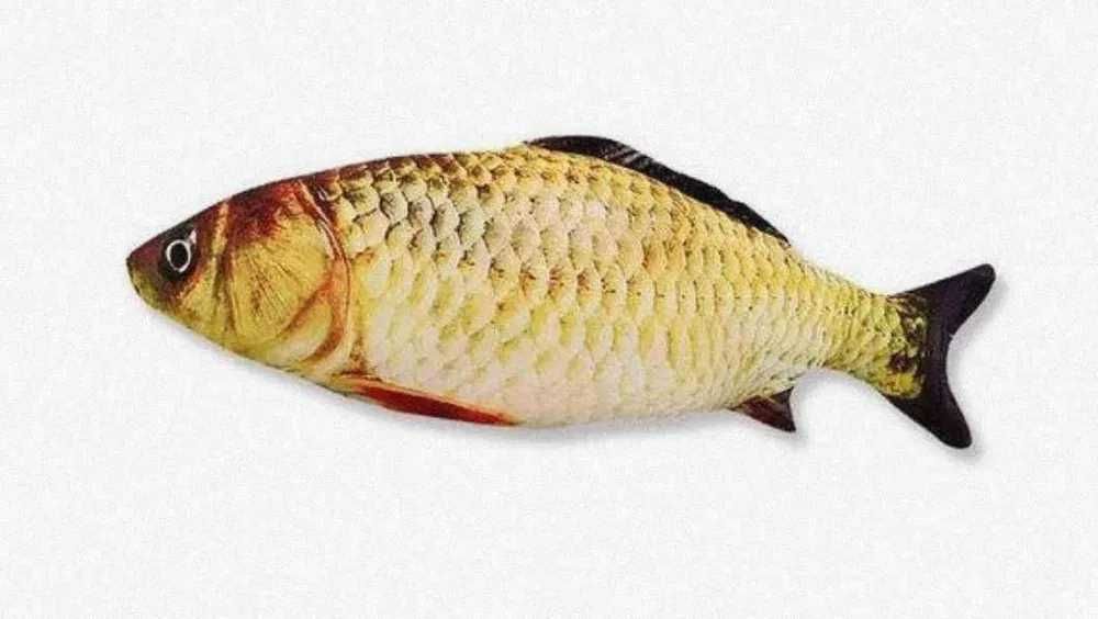 Іграшка Риба м'яка заводна для котів