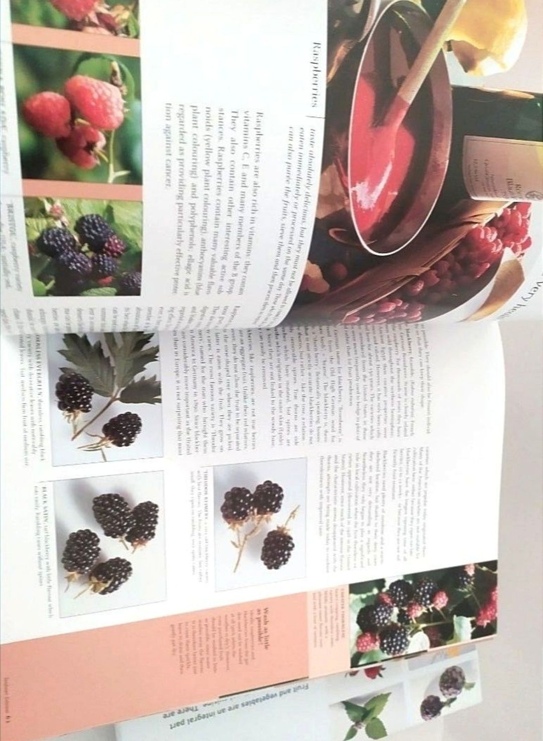 На АНГЛИЙСКОМ Тойбнер Фрукты и Овощи Fruit and vegetables Специи