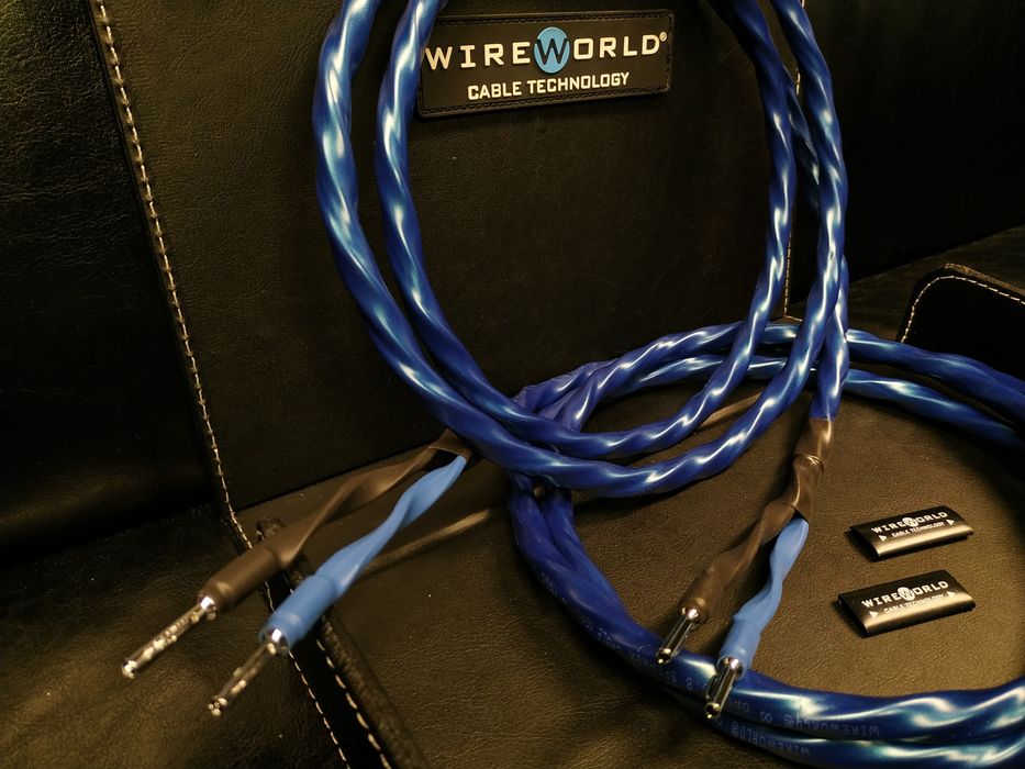 WireWorld Oasis 8 kable głośnikowe konfekcjaTrans Audio Hi-Fi pro