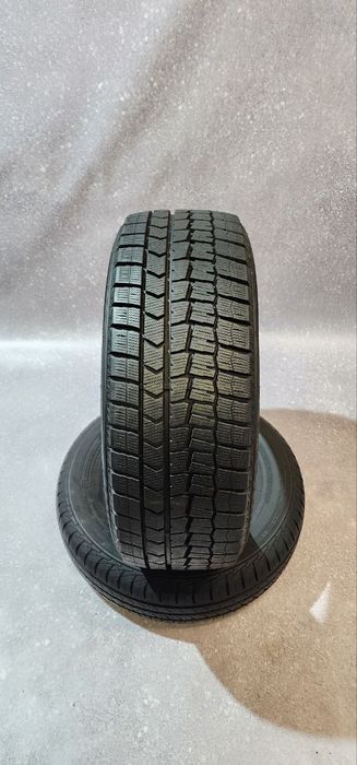 205.50.17 Dunlop WinterMaxx WM02 4шт