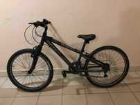Rower Trek dla 8-10 latka