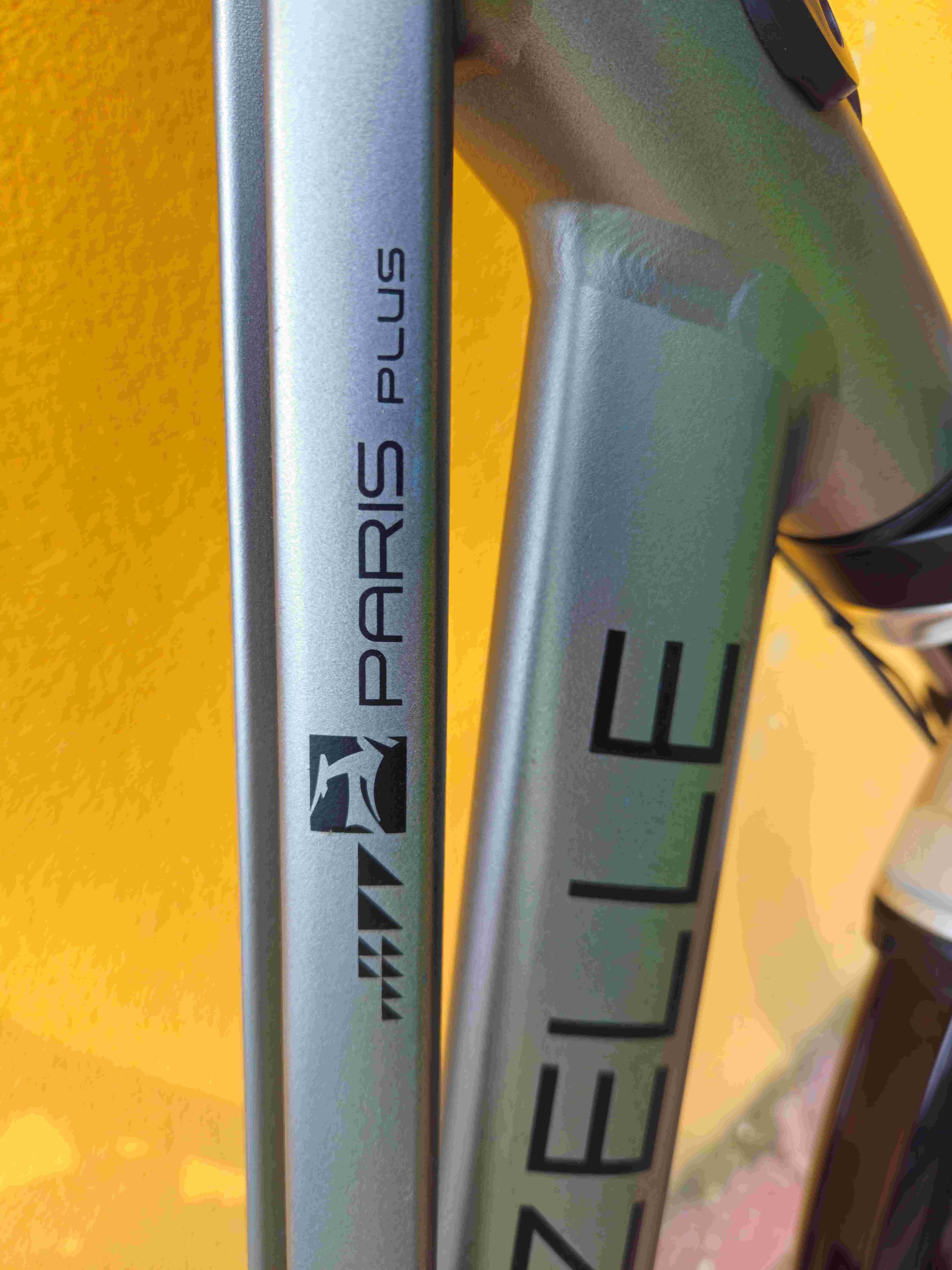 Rower Gazelle Paris Plus