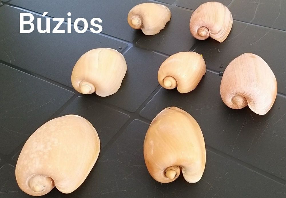 Decorações para Aquários.