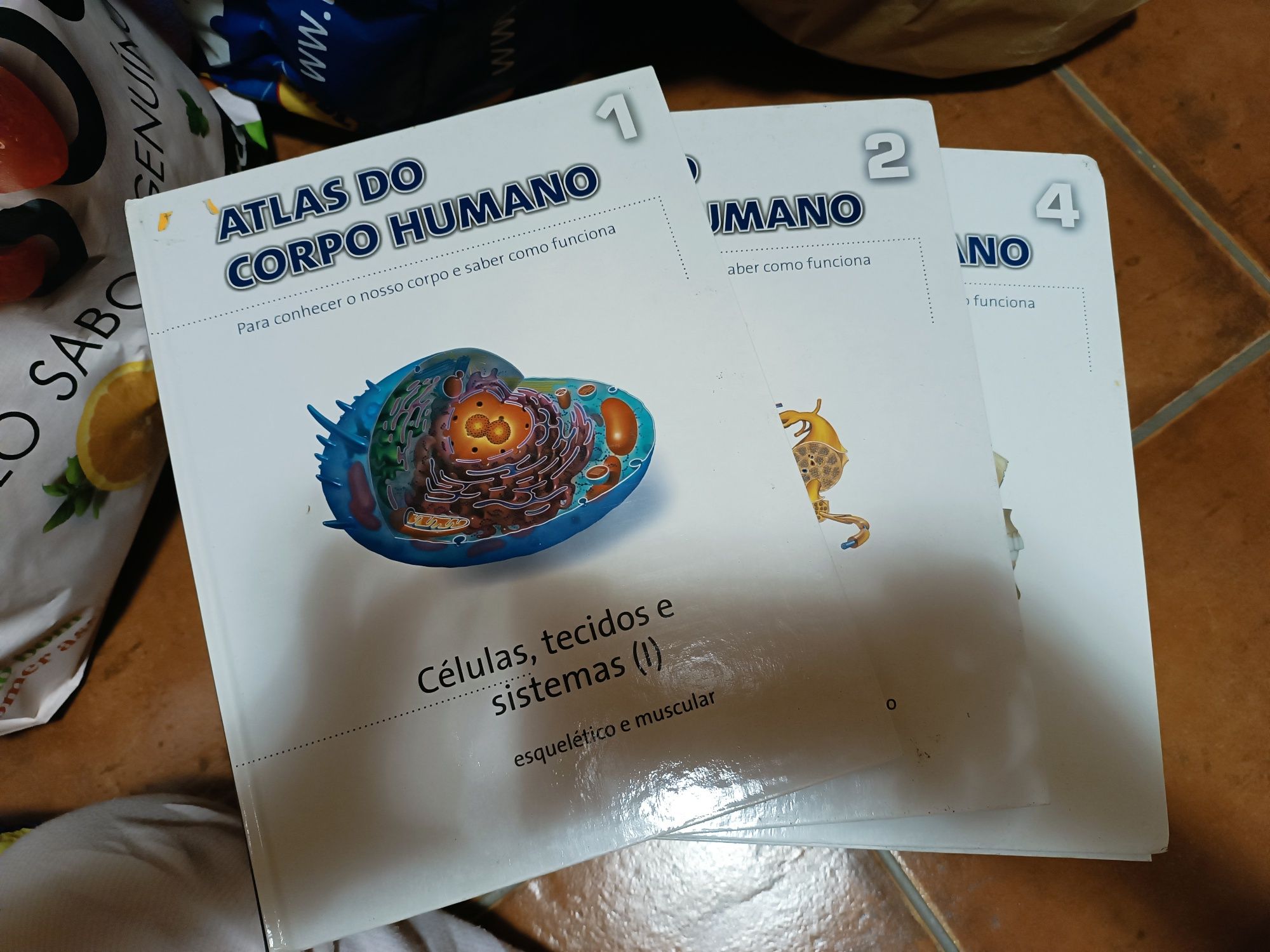 Colecção Atlas do corpo Humano