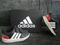 Tennis Adidas n20