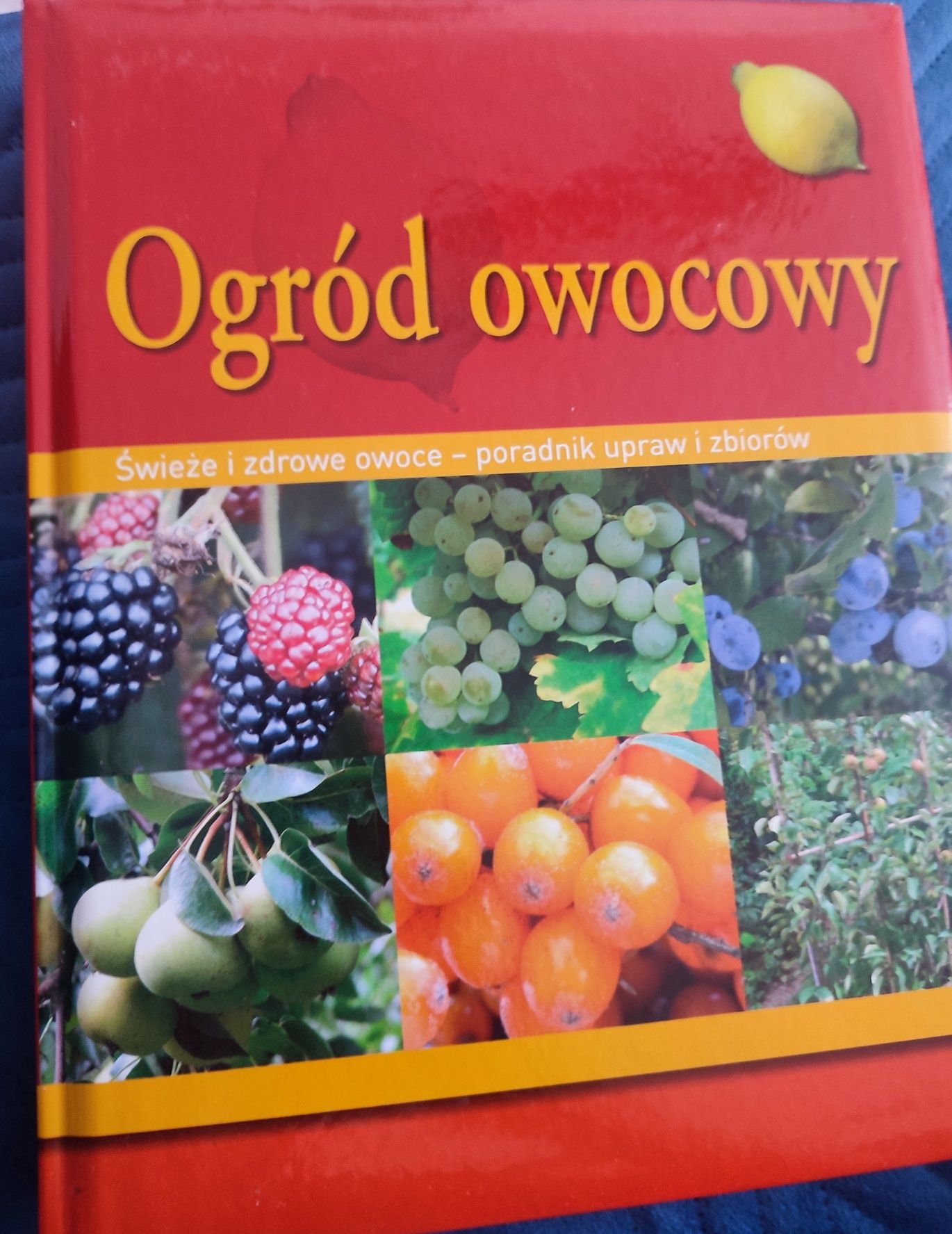 Ogród owocowy . Świeże i zdrowe owoce-poradnik upraw i zbiorów