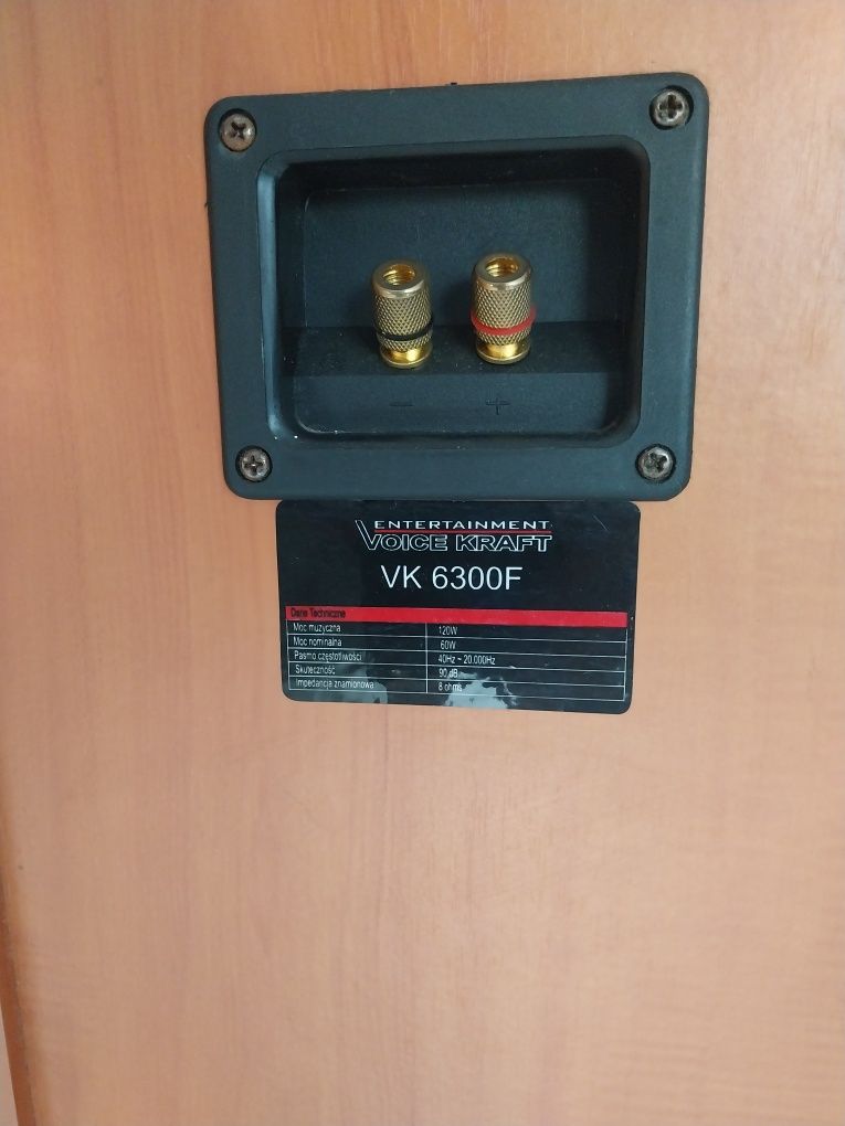 Wieża Philips Dorosła