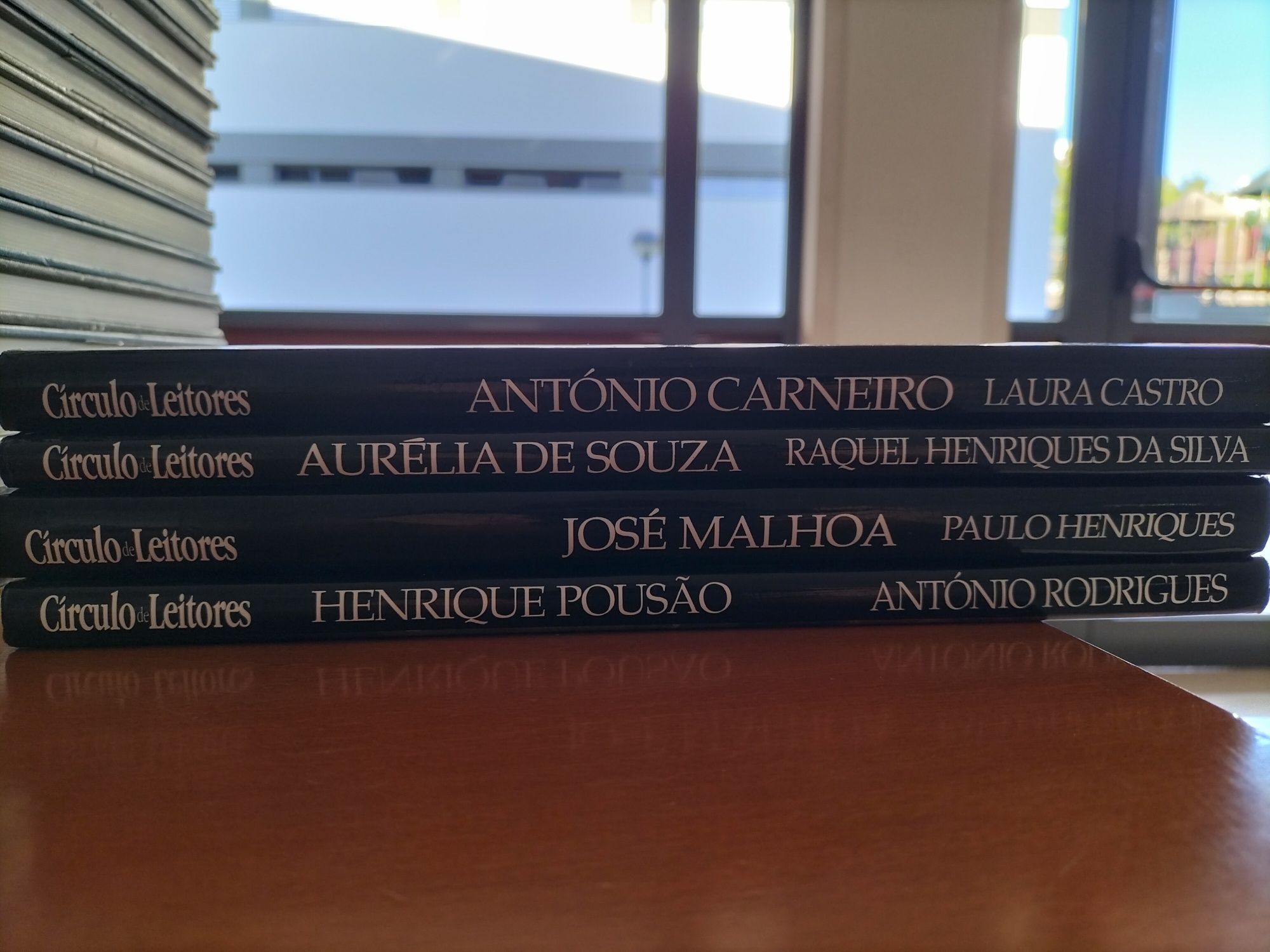 Coleção 4 livros sobre artistas portugueses