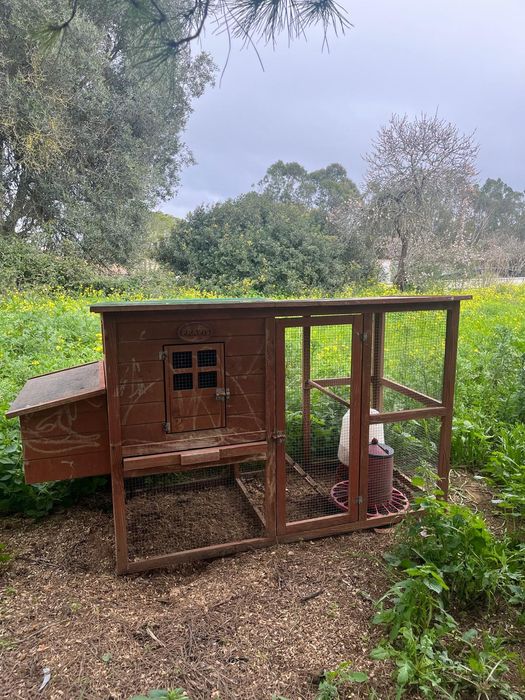 Galinheiro em bom estado