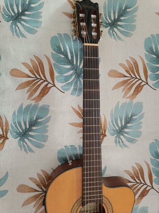 Viola caixa marca Ibanez