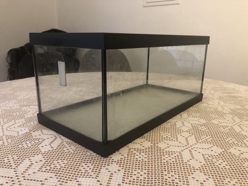 Pequeno Aquário de vidro