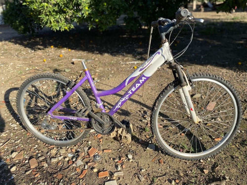 Bicicletas a precisar de uma manuntenção