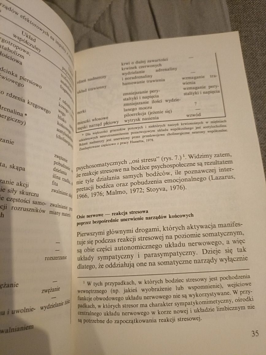 Stres. Przyczyny, terapia i autoterapia