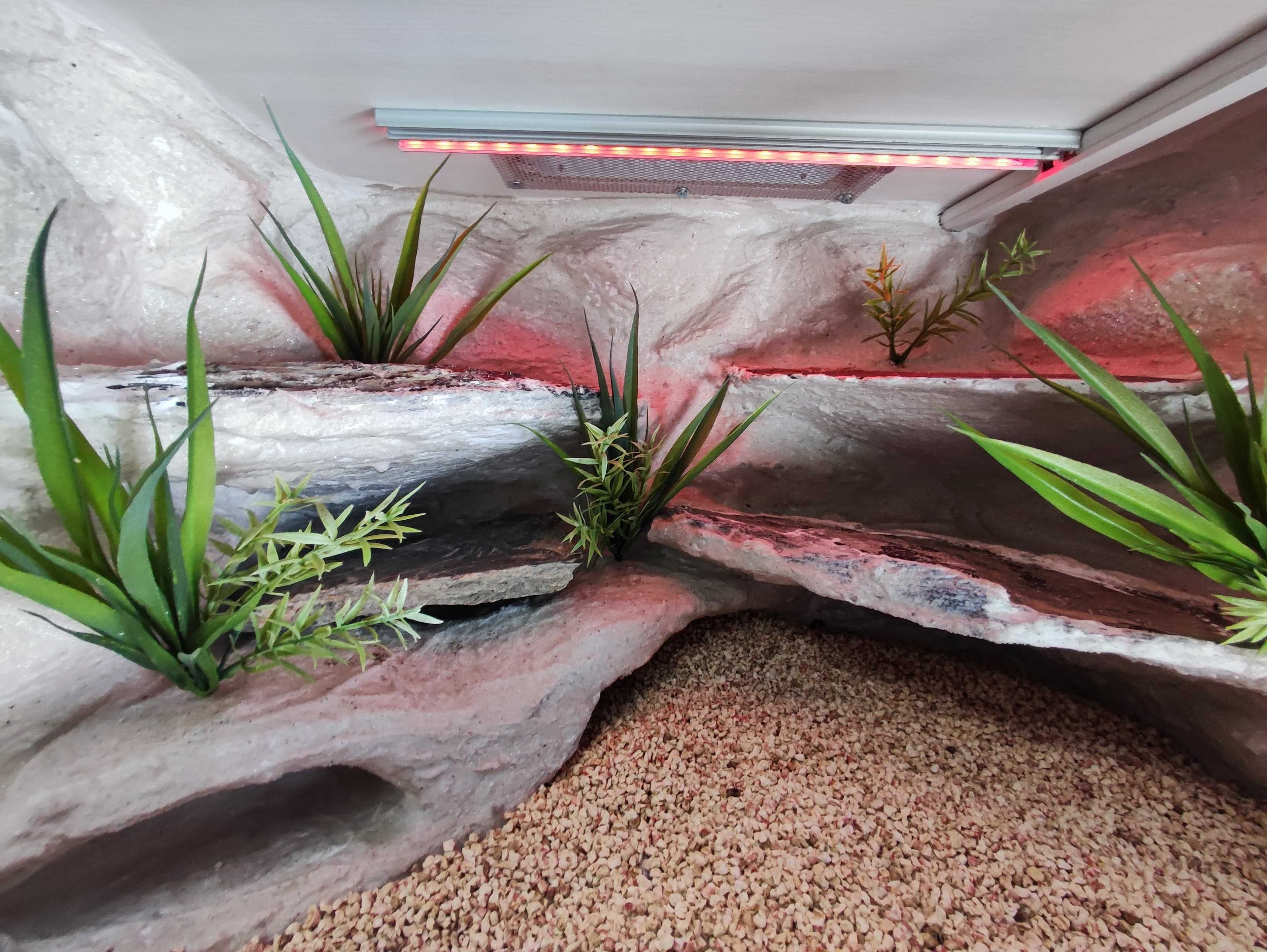 Terrarium pustynne nr691 60/40/40 dla gekona lamparciego DOSTĘPNE
