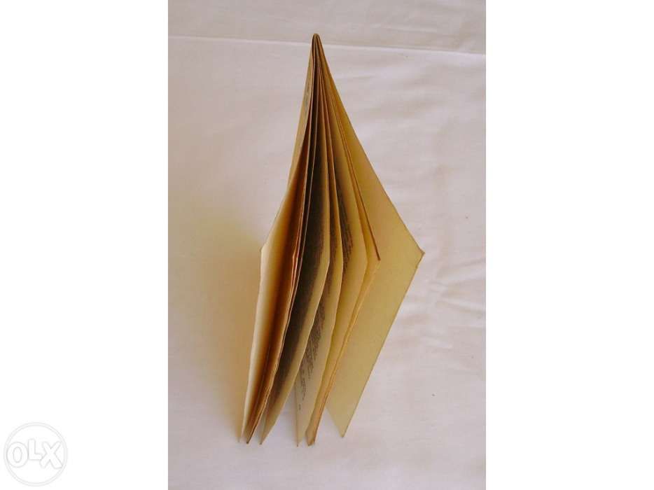 Como Responder aos Seus Filhos - António Miotto e Giovanna Viganoni