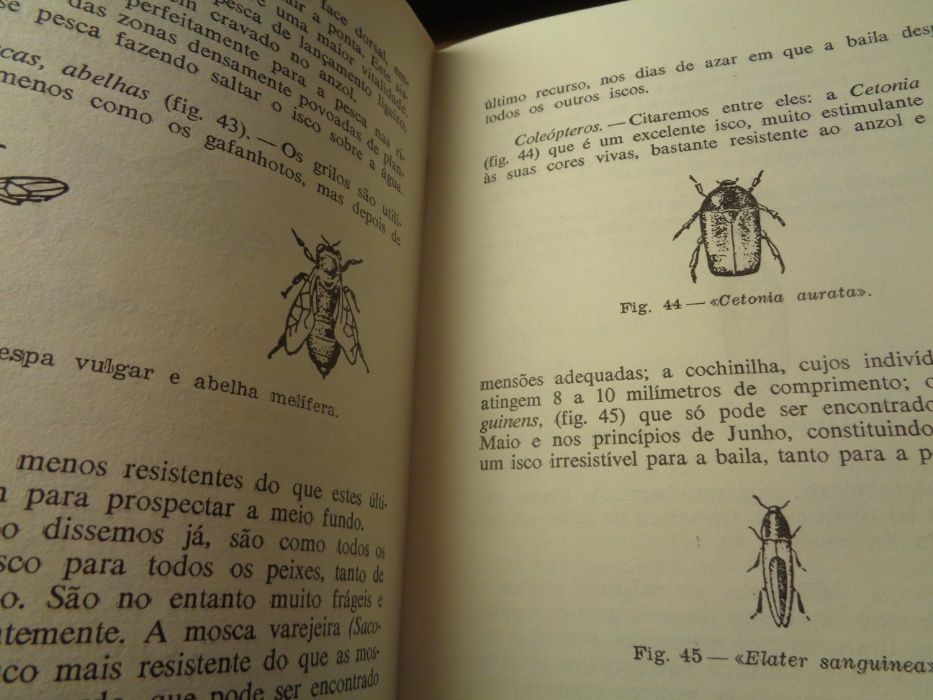 Livro Iniciação Á Pesca 180 Páginas