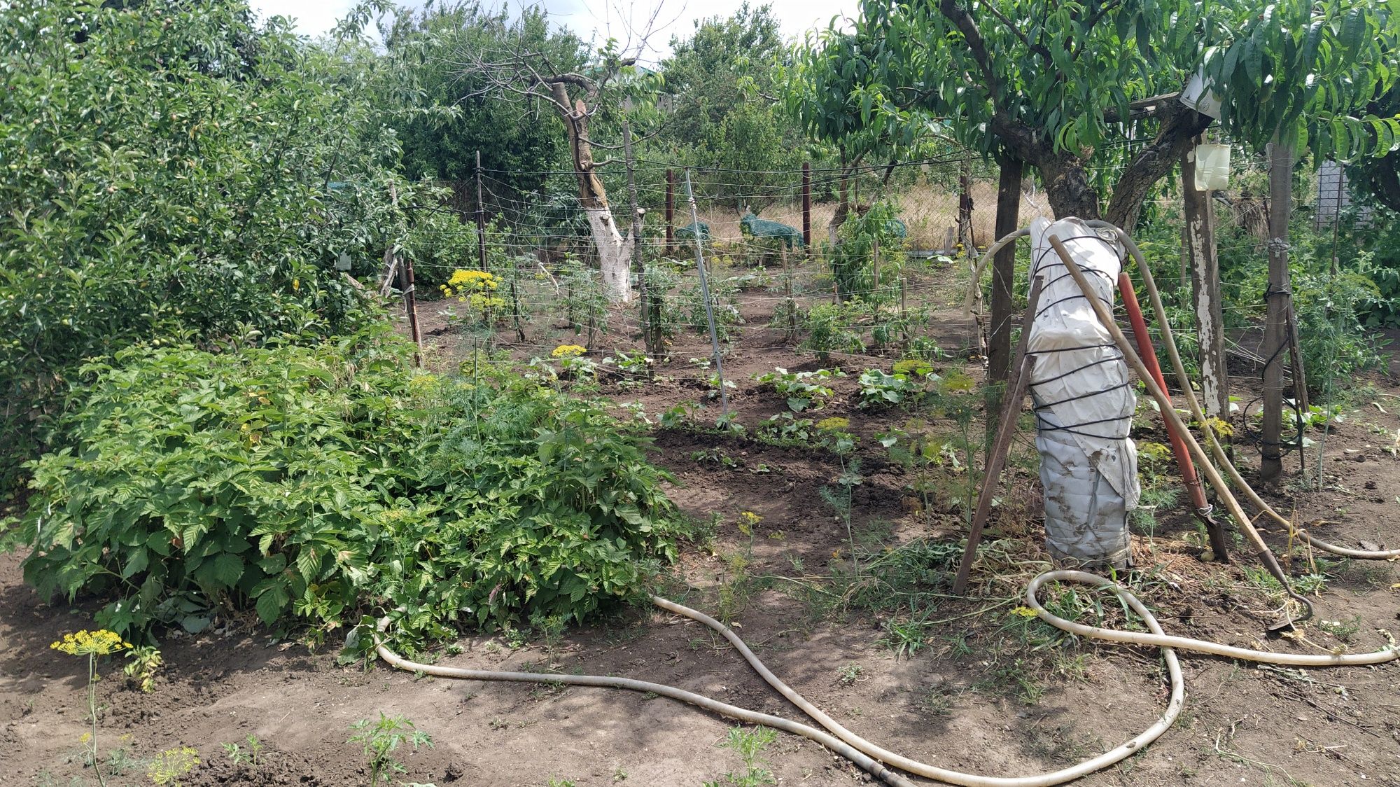 Продам дом с.Светлое, новые дачи, СТ "Свитанок".