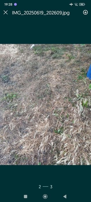 Гербецид сплошного действия работает чётко перешлю новая почта 1 литр