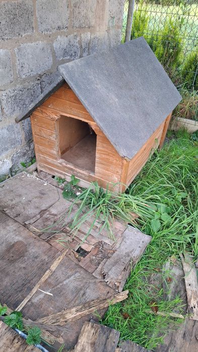 Buda dla dużego psa