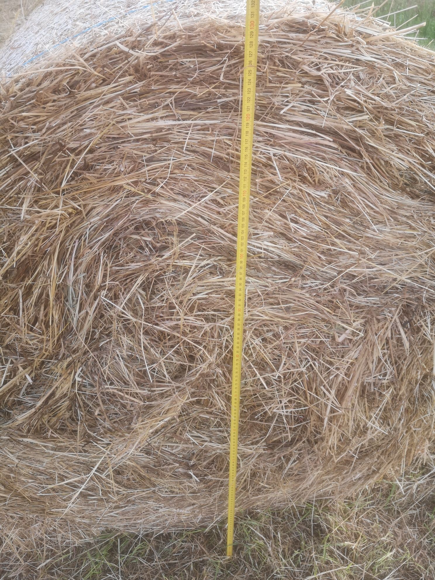 Rolo de feno nascedico, recortado diâmetro 1.30