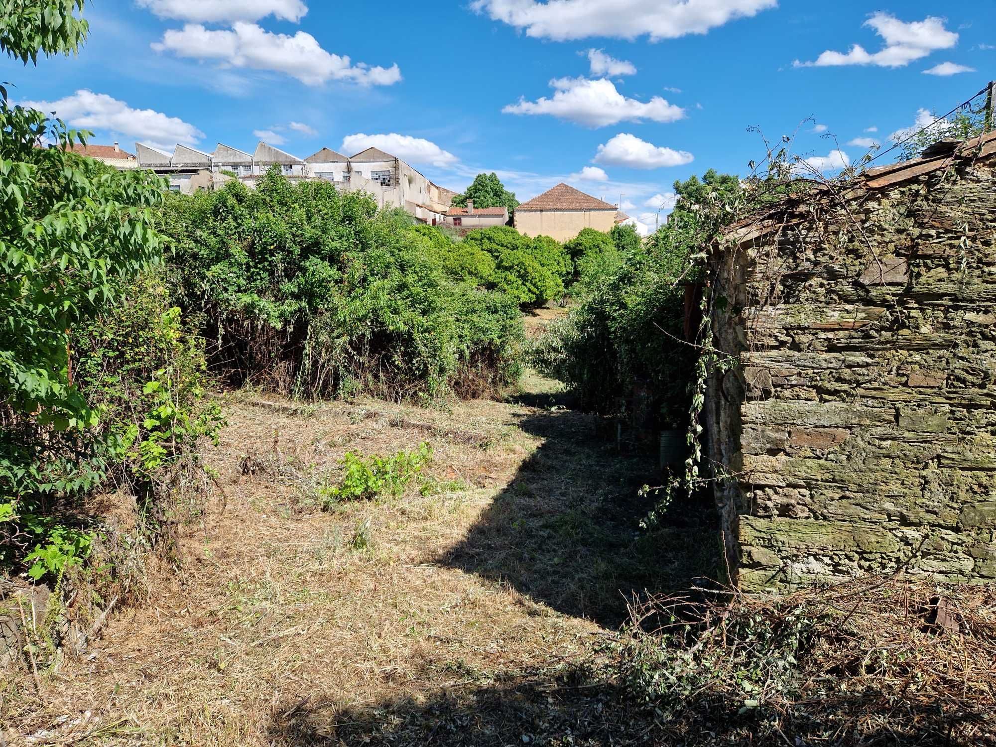 Terreno 2500 m2 - Cebolais Cima - Viabilidade de Construção