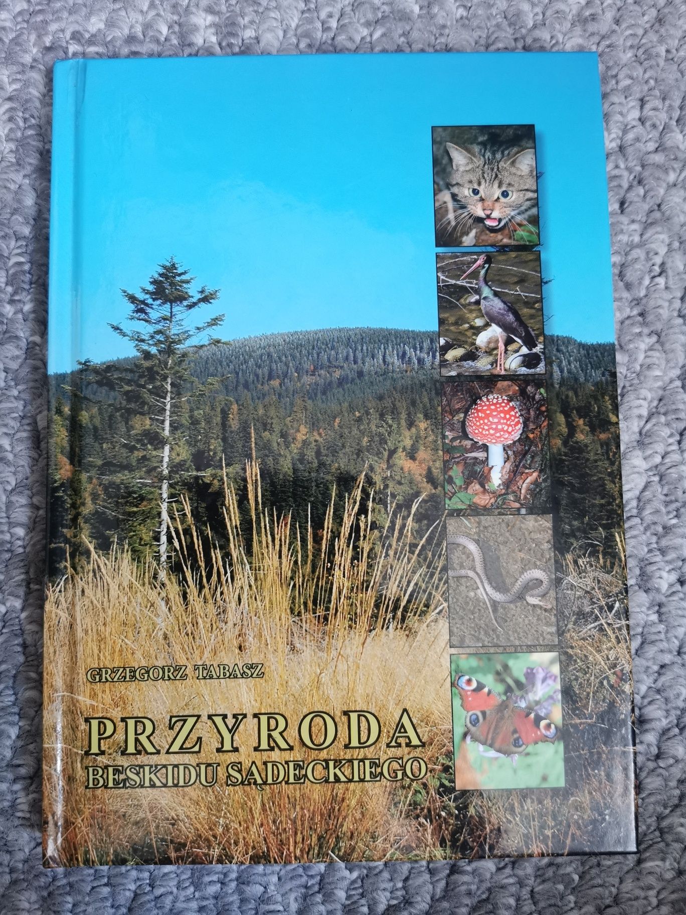 Przyroda Beskidu Sądeckiego