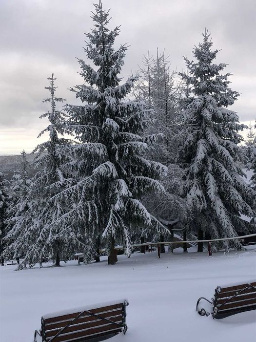 Готель “Карпатські Полонини” | 4 дні/3 ночі для чотирьох від 12900 грн