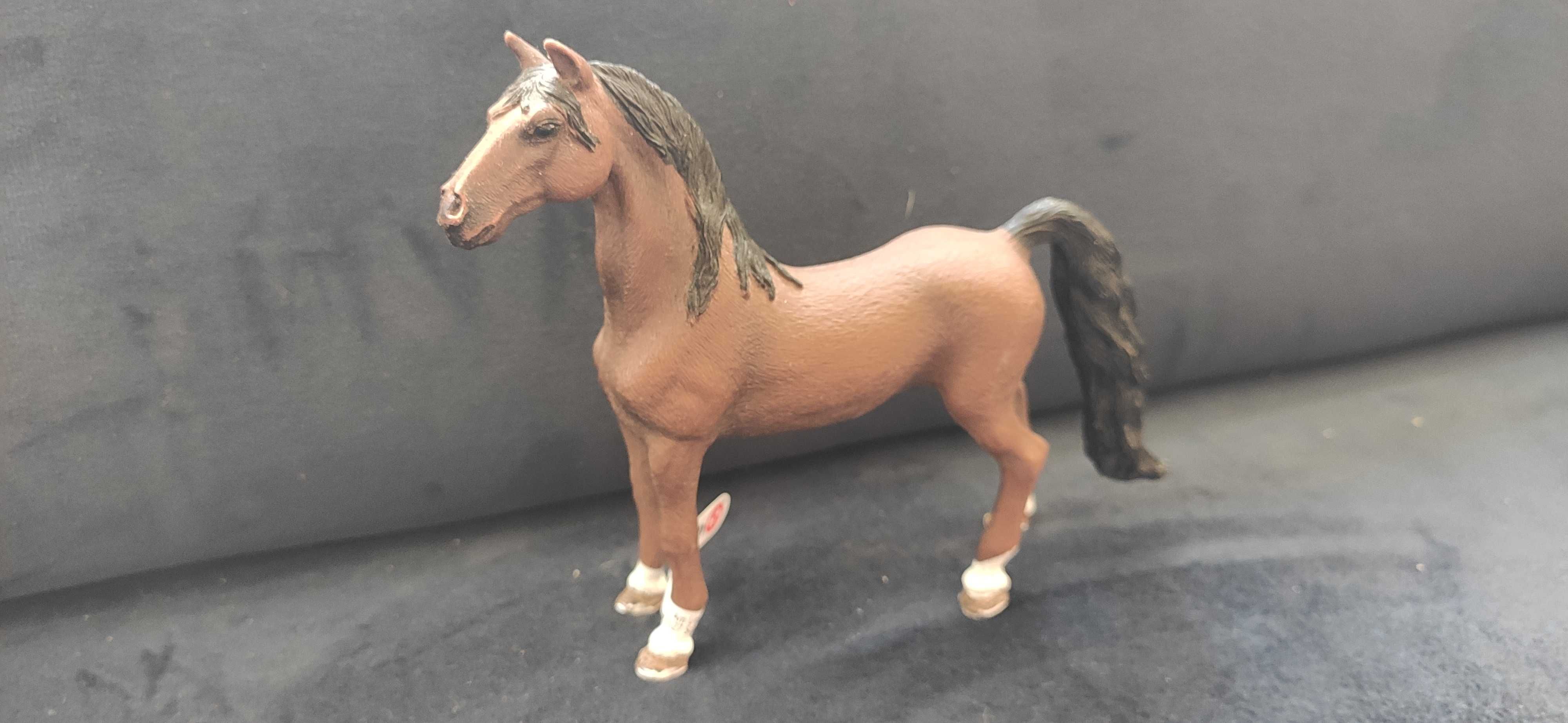 Schleich Koń Wałach Rasy Saddlebred 13913