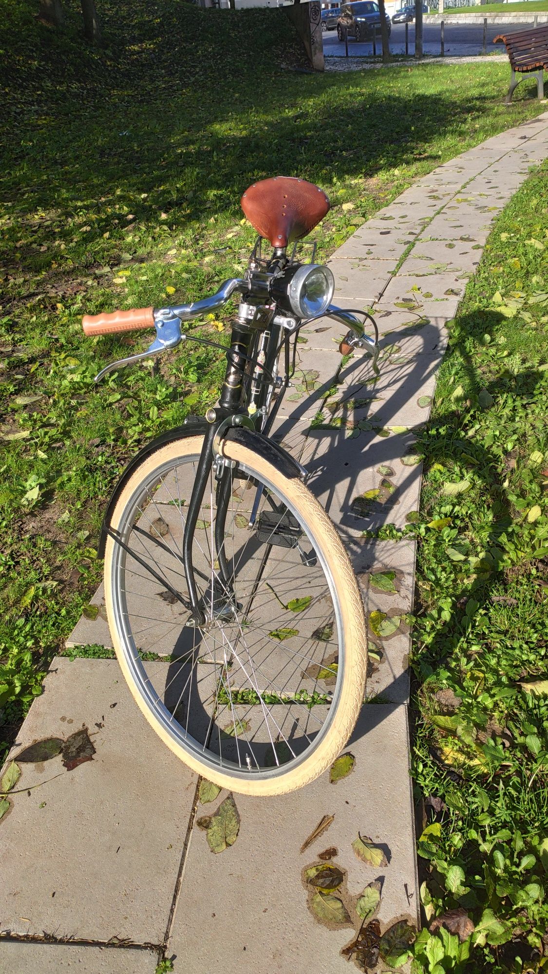 Bicicleta Raleigh