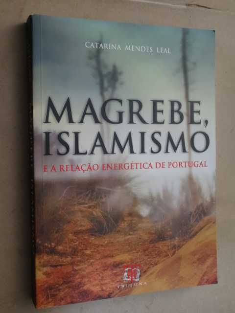 Magrebe, Islamismo de Catarina Mendes Leal