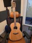 Takamine GY51E-NAT Parlor/NewYorker - travel size