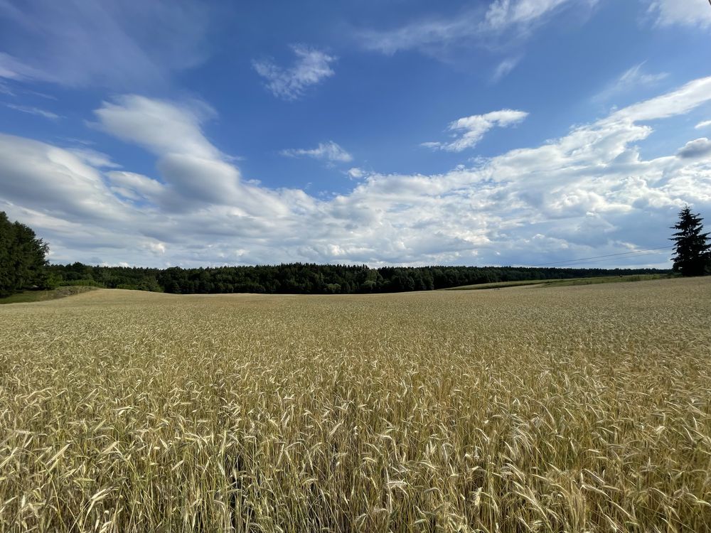 Działki budowlane