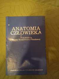 Anatomia człowieka