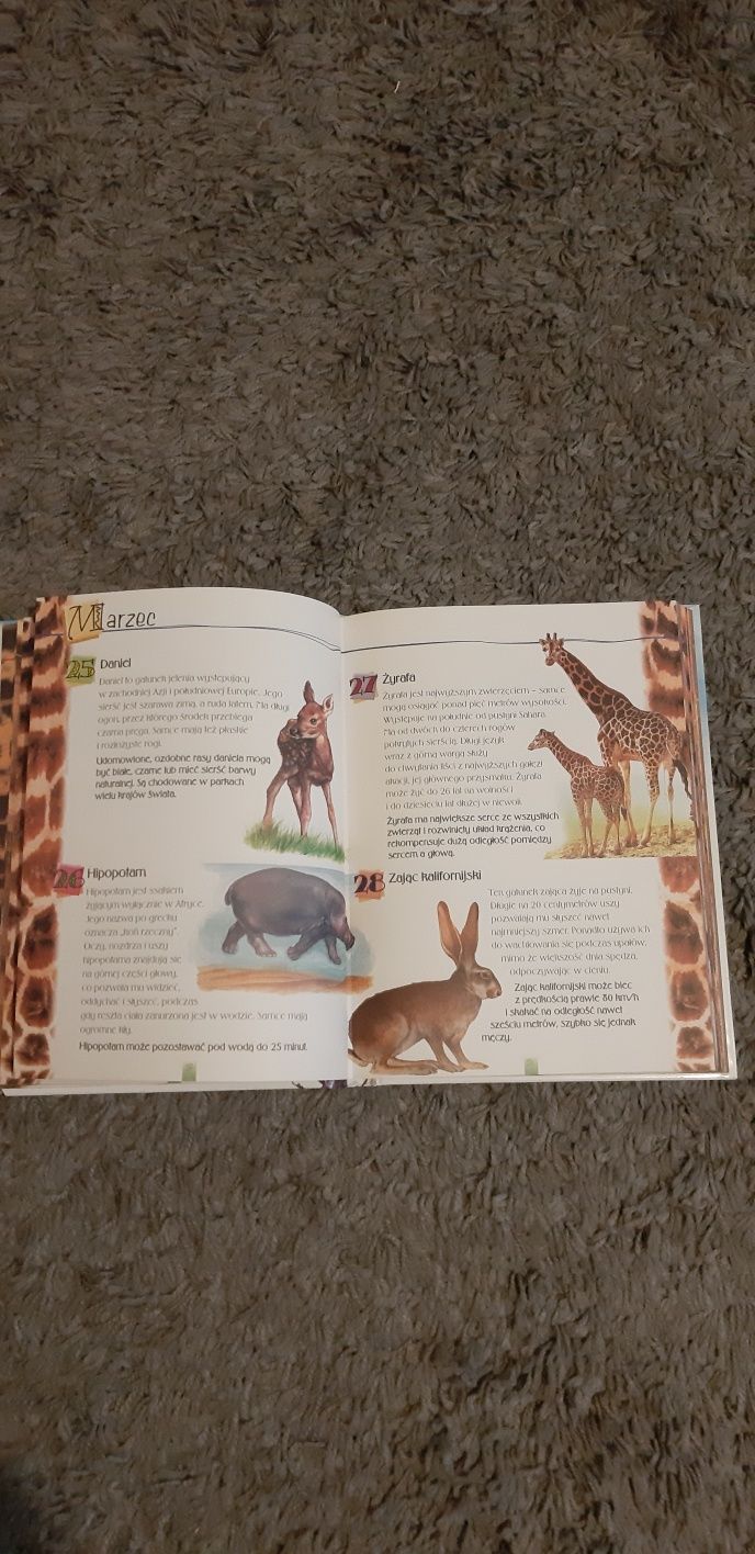 Książka dla dzieci i młodzieży o zwierzętach.