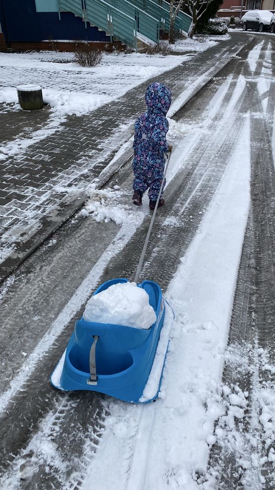 Sanki decathlon dziecięce