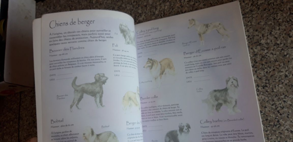 Livro Caderneta Les Chiens