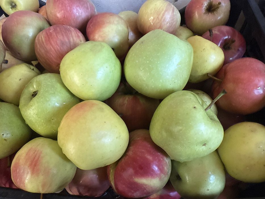 Сік яблучний 100%