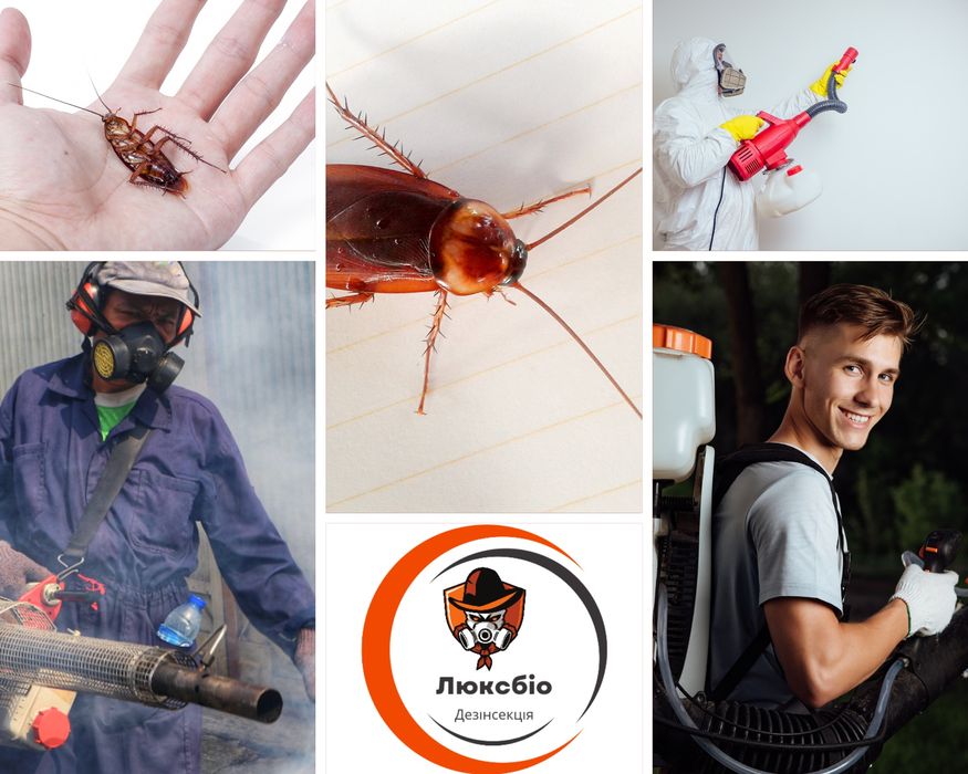 ТРАВЛЯ Тараканов Клопов Клещей