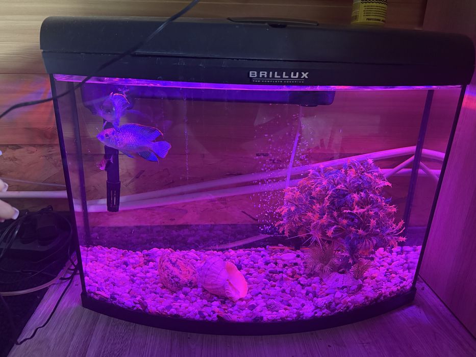 Akwarium 120 litrow