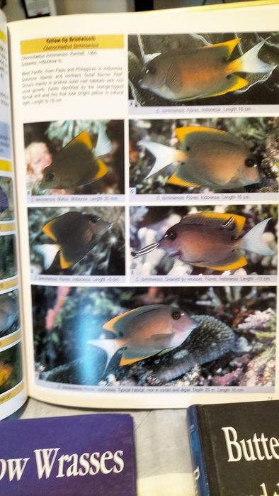 Livros aquariofilia marinha