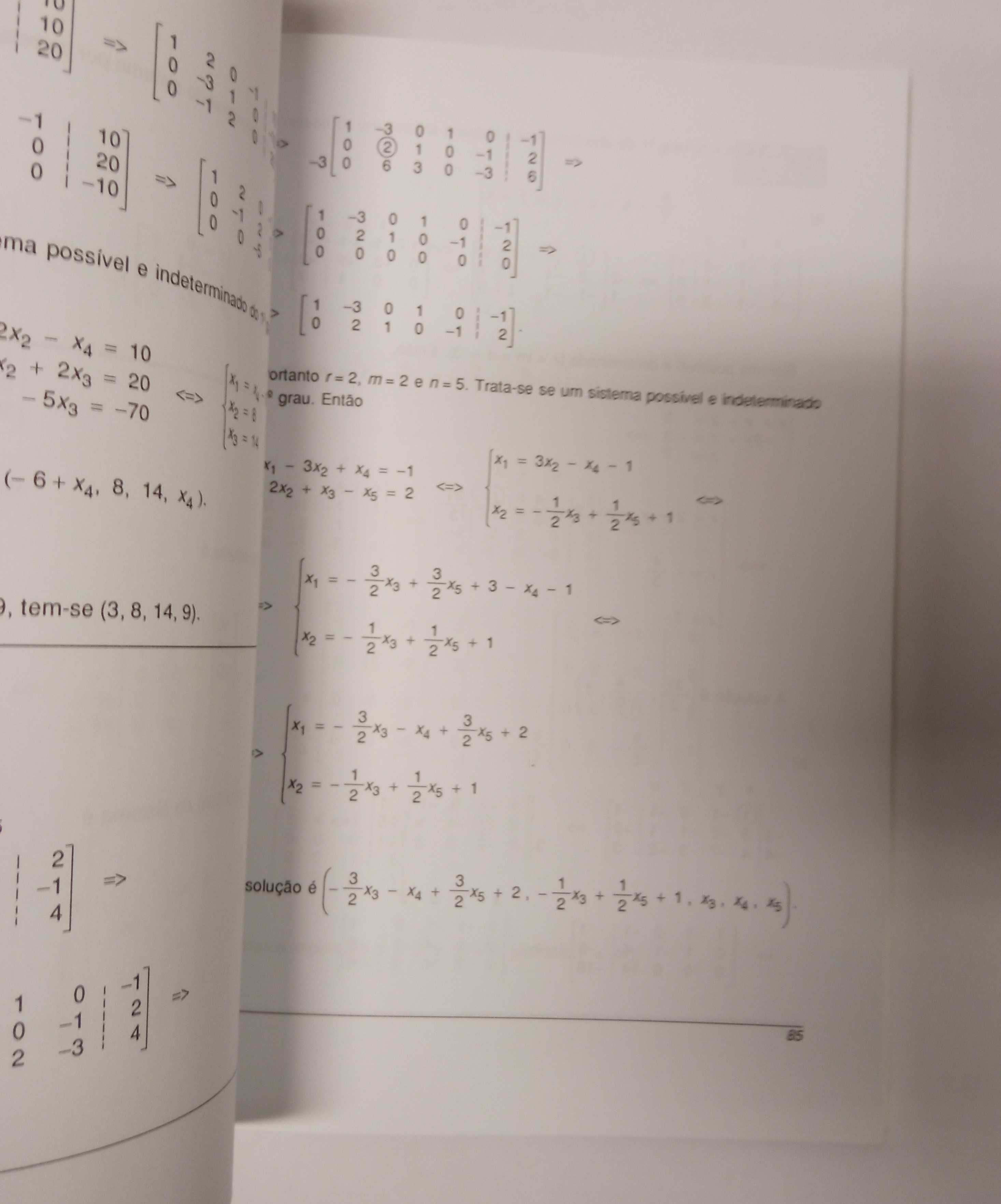 Álgebra Linear - exercícios, de Manuel Alberto Ferreira